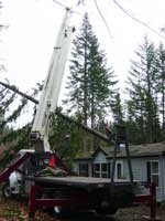 Fallen Tree on House Cleanup After Major Storm in Oregon by Santana Crane